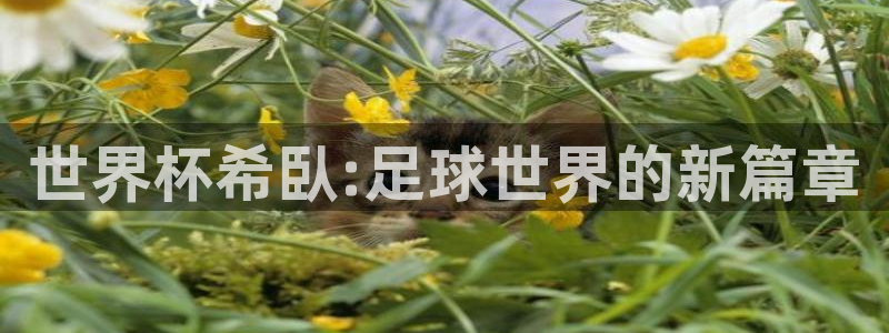 2026世预赛赛程表：世界杯希臥:足球世界的新篇章