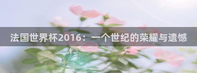 世界杯足球赛