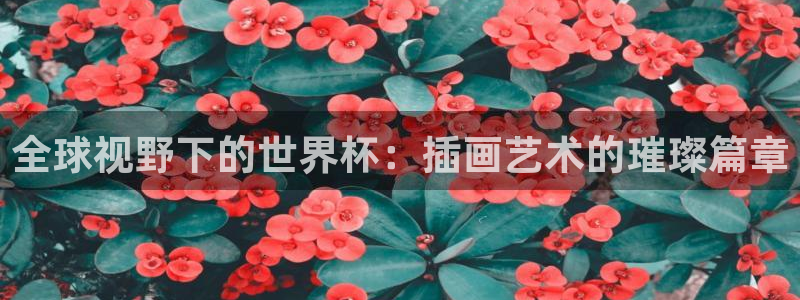 世界杯预选赛赛程：全球视野下的世界杯：插画艺术的璀璨篇章