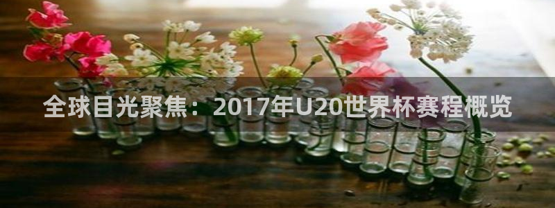 世界杯预选赛规则：全球目光聚焦：2017年U20世界杯赛程概览