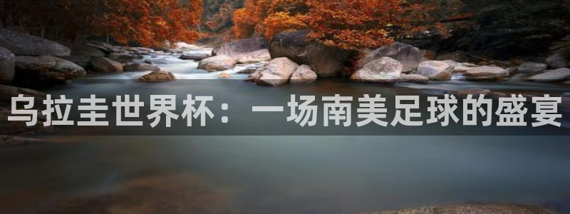 世预赛直播：乌拉圭世界杯：一场南美足球的盛宴