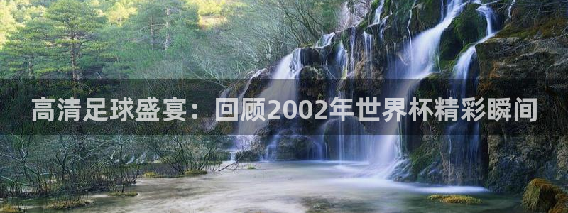 世界杯预选赛：高清足球盛宴：回顾2002年世界杯精彩瞬间