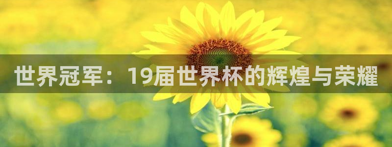 世预赛免费直播入口：世界冠军：19届世界杯的辉煌与荣耀