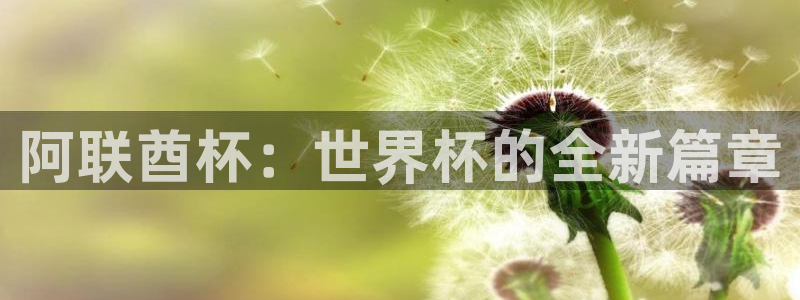 世界杯赛程时间表：阿联酋杯：世界杯的全新篇章
