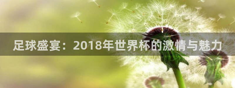 世界杯直播在线观看入口：足球盛宴：2018年世界杯的激情与魅力