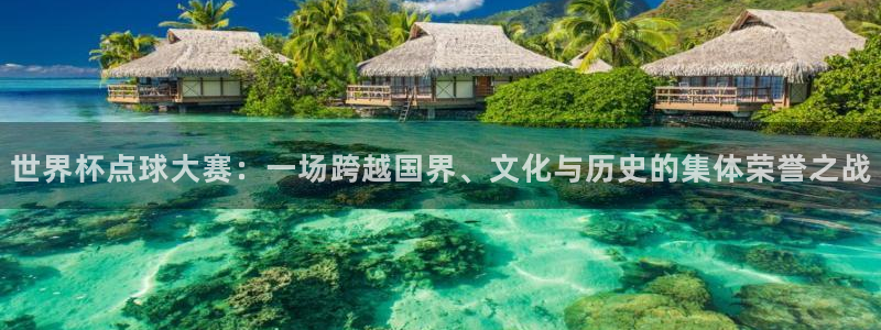 2006年世界杯：世界杯点球大赛：一场跨越国界、文化与历史的集体荣誉之战
