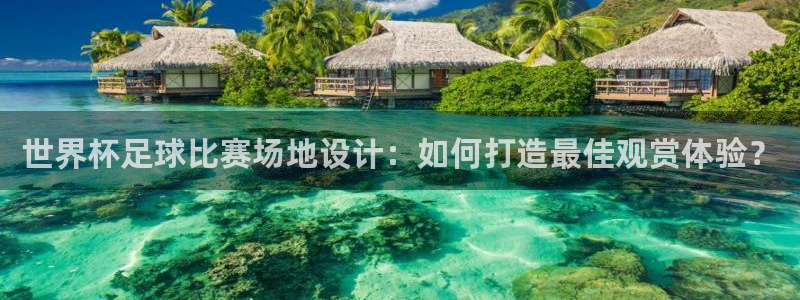 2026 世界杯：世界杯足球比赛场地设计：如何打造最佳观赏体验？