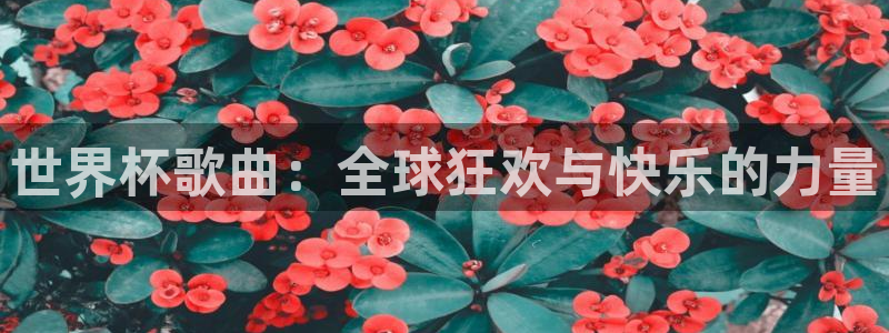 世界杯 赛程：世界杯歌曲：全球狂欢与快乐的力量