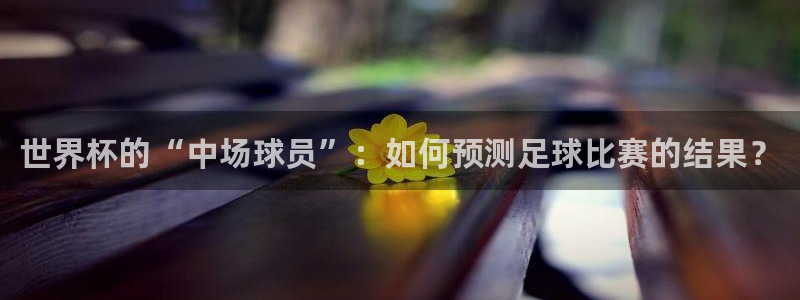 今年世界杯：世界杯的“中场球员”：如何预测足球比赛的结果？