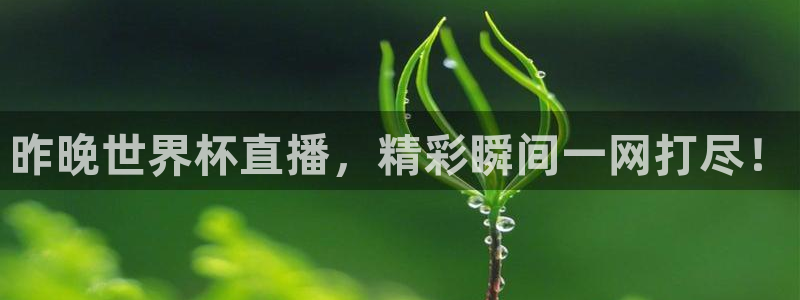 世界杯预选赛欧洲赛区赛程：昨晚世界杯直播，精彩瞬间一网打尽！